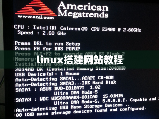 linux搭建网站教程