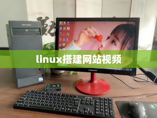 linux搭建网站视频