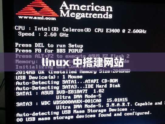linux 中搭建网站
