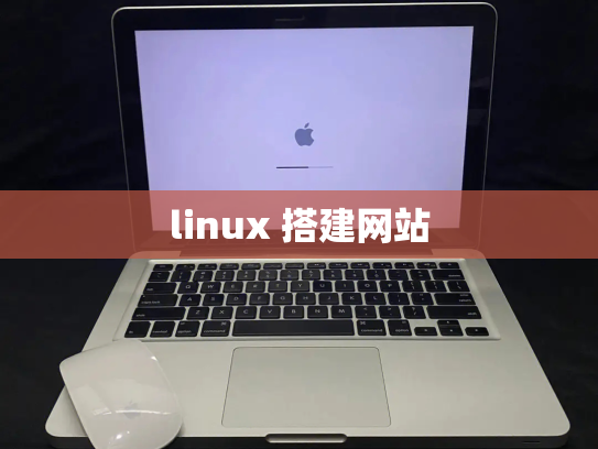 linux 搭建网站