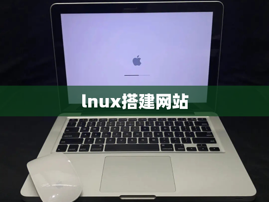 lnux搭建网站