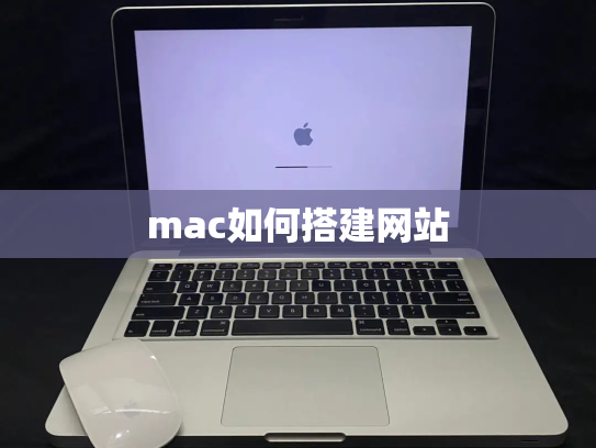 mac如何搭建网站