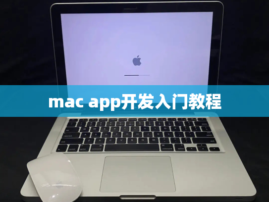 mac app开发入门教程