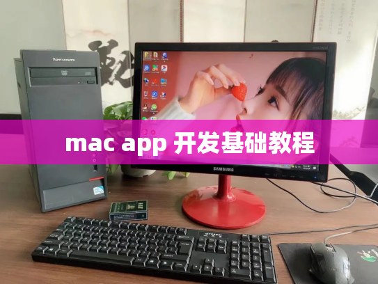 mac app 开发基础教程