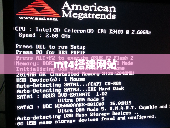 mt4搭建网站