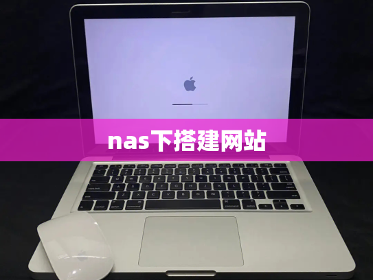 nas下搭建网站