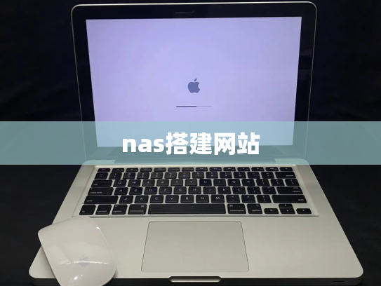 nas搭建网站