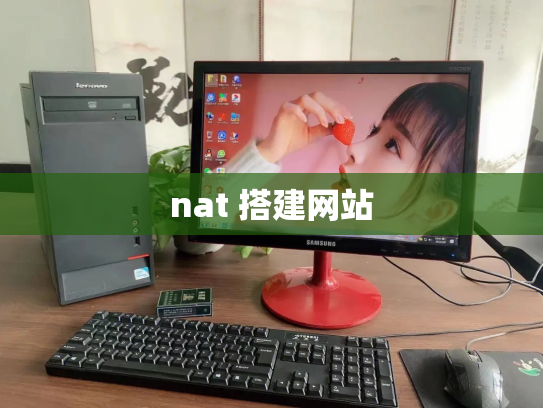 nat 搭建网站