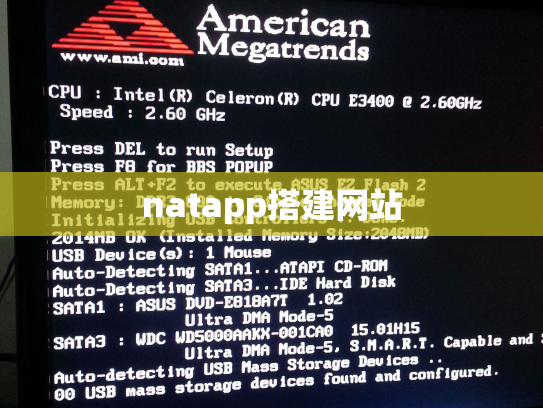 natapp搭建网站