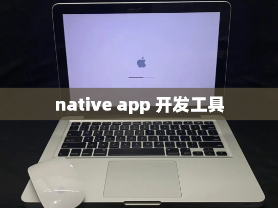 native app 开发工具