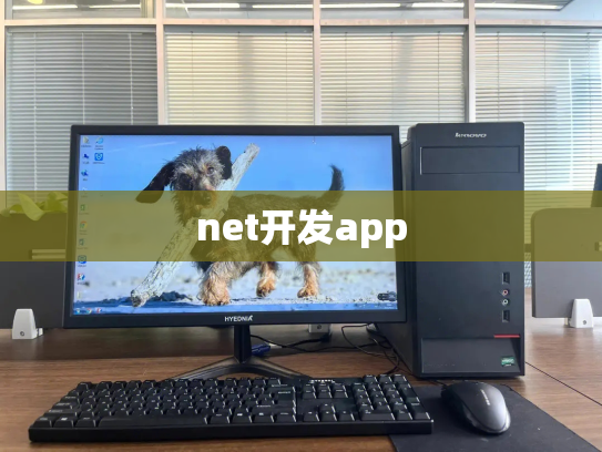 net开发app