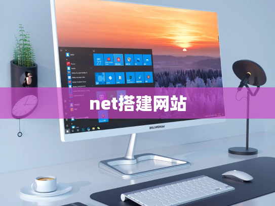 net搭建网站