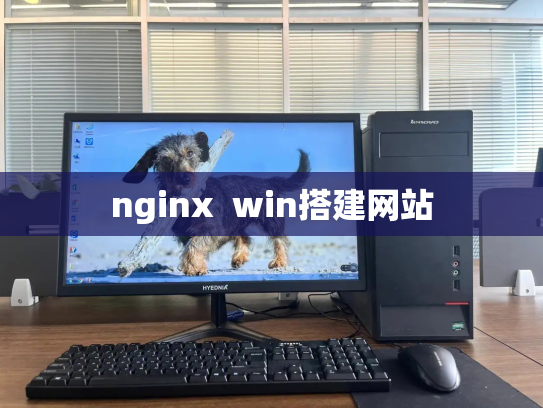 nginx  win搭建网站