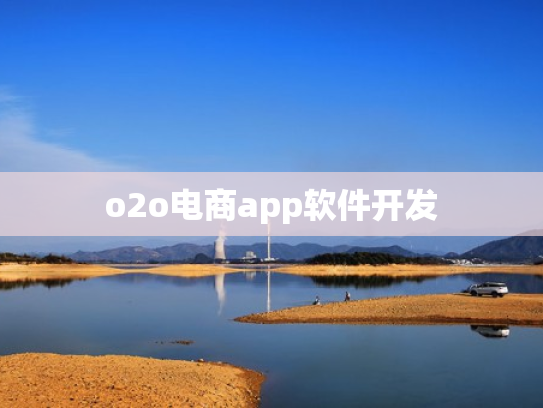 o2o电商app软件开发