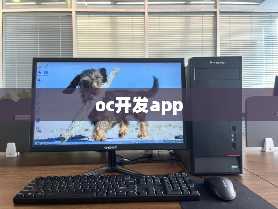 oc开发app