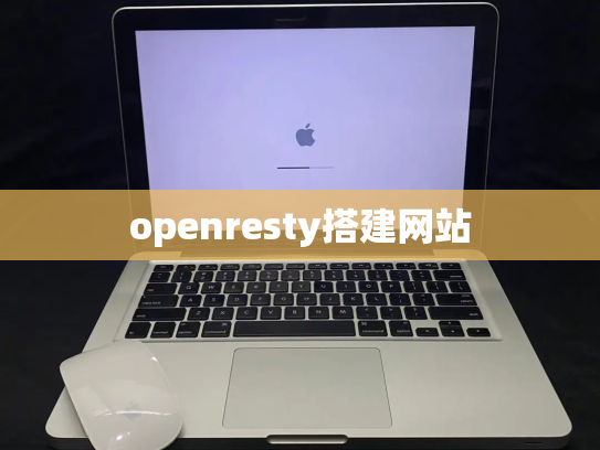 openresty搭建网站