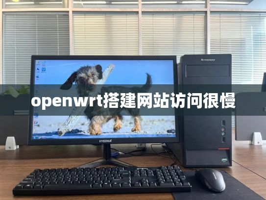openwrt搭建网站访问很慢