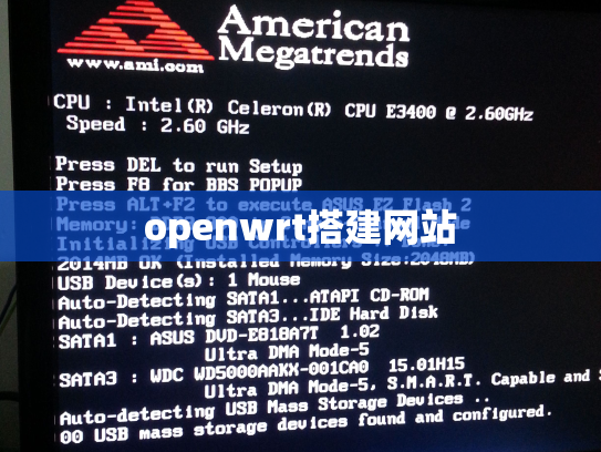 openwrt搭建网站