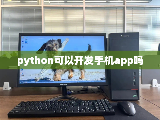 python可以开发手机app吗
