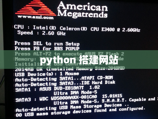 python 搭建网站
