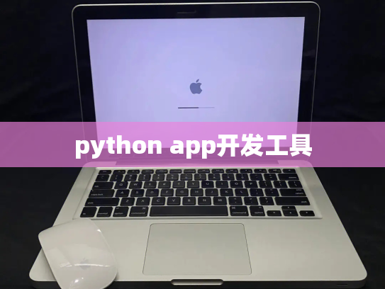 python app开发工具