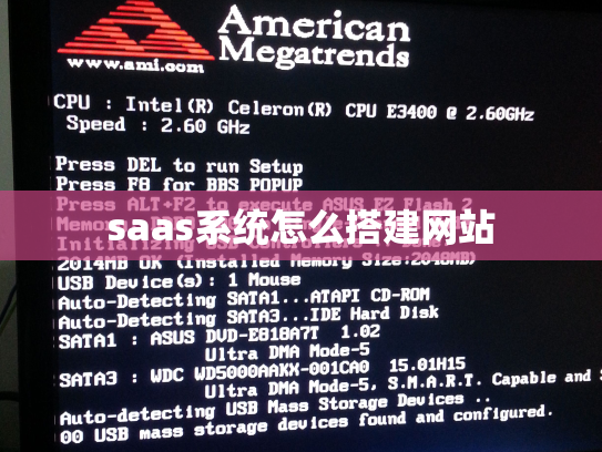 saas系统怎么搭建网站