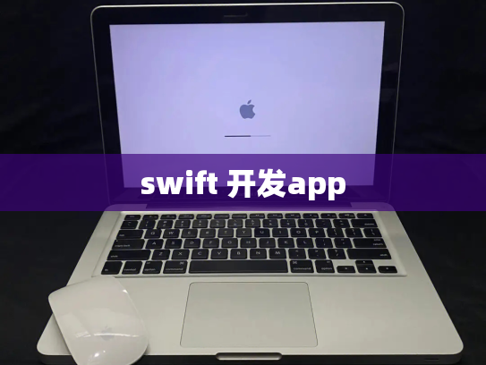 swift 开发app