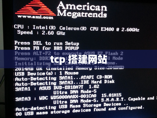 tcp 搭建网站