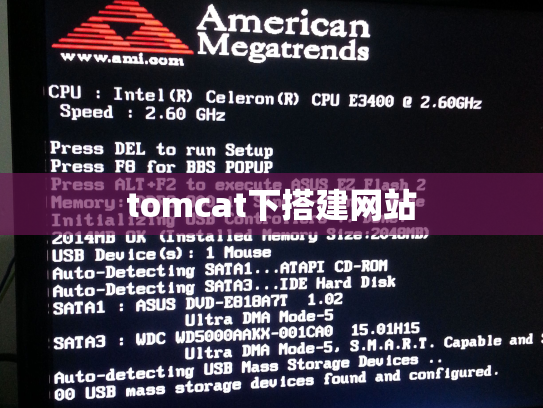 tomcat下搭建网站