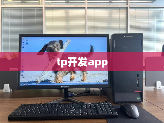 tp开发app