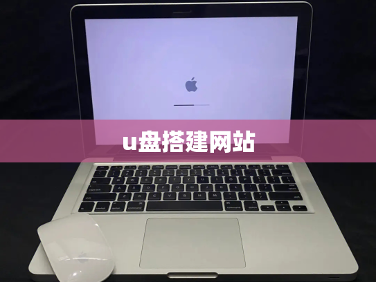 u盘搭建网站