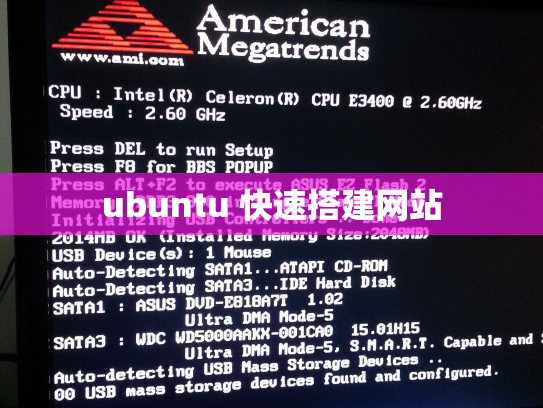 ubuntu 快速搭建网站