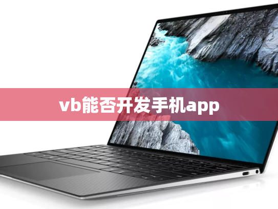 vb能否开发手机app