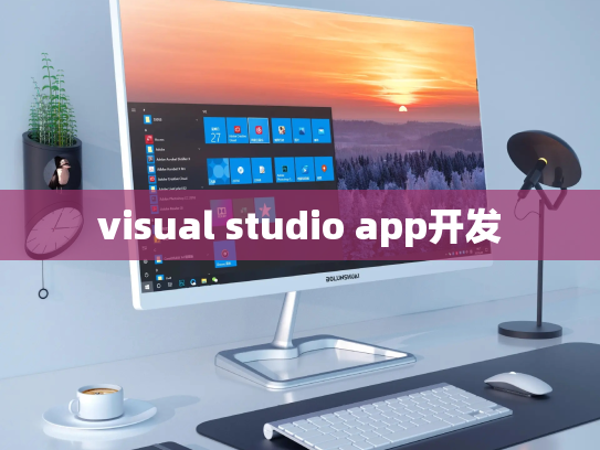 visual studio app开发
