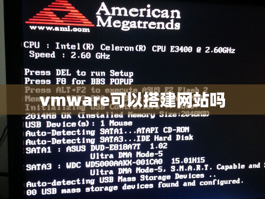 vmware可以搭建网站吗