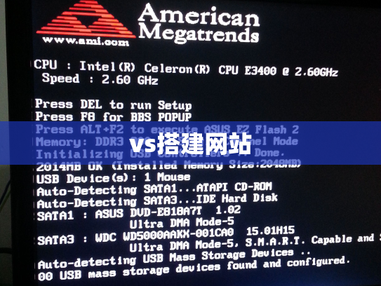vs搭建网站