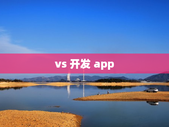 vs 开发 app