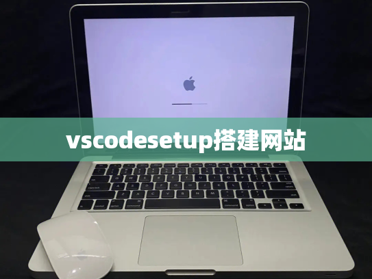 vscodesetup搭建网站