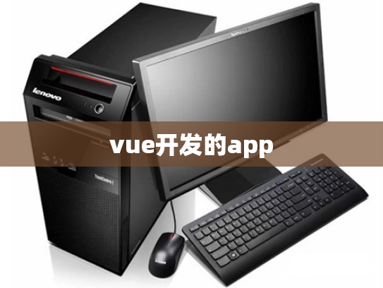vue开发的app