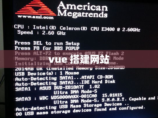 vue 搭建网站