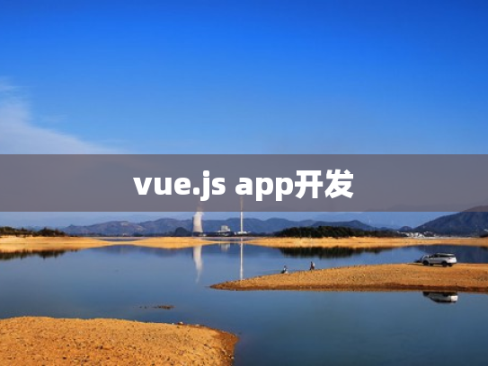 vue.js app开发