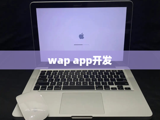 wap app开发
