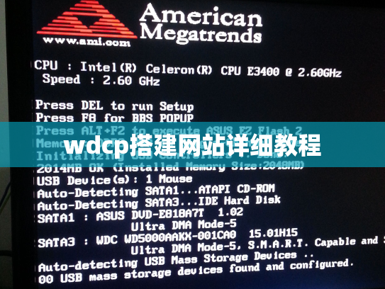 wdcp搭建网站详细教程