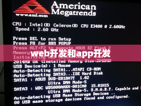 web开发和app开发