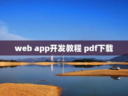 web app开发教程 pdf下载