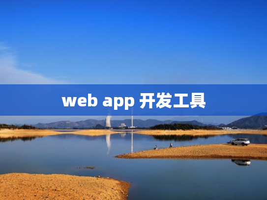 web app 开发工具