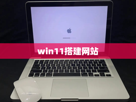 win11搭建网站