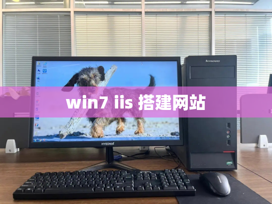 win7 iis 搭建网站
