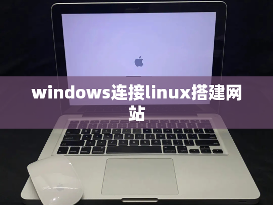 windows连接linux搭建网站