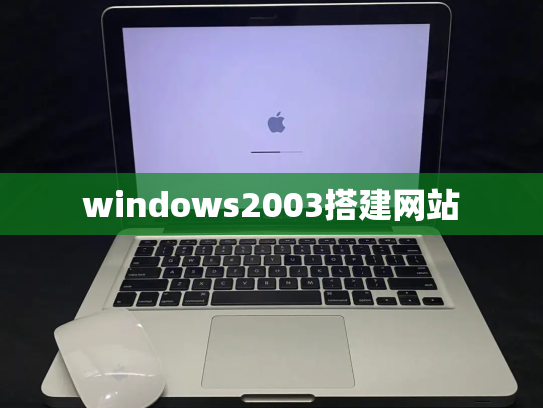 windows2003搭建网站